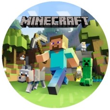 RMineC7 Disc vafa Minecraft d20cm